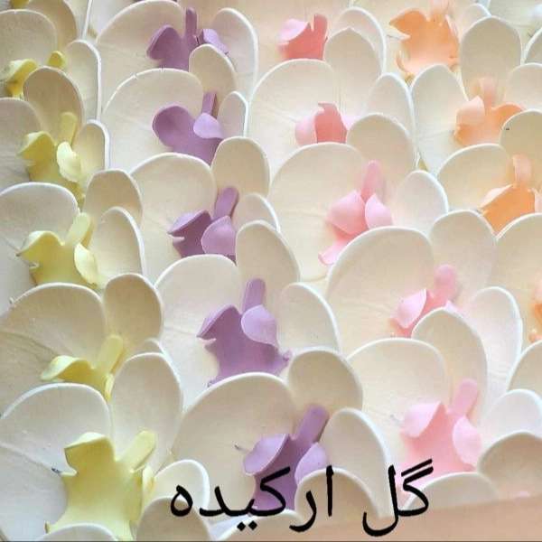 فروشگاه فتوکیک