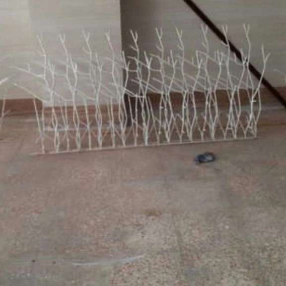 نرده و حفاظ شاخ گوزنی عباسی