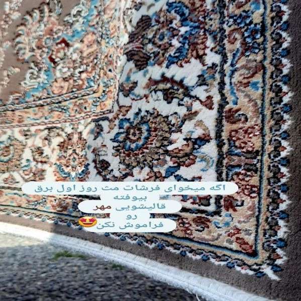 قالیشویی مهر