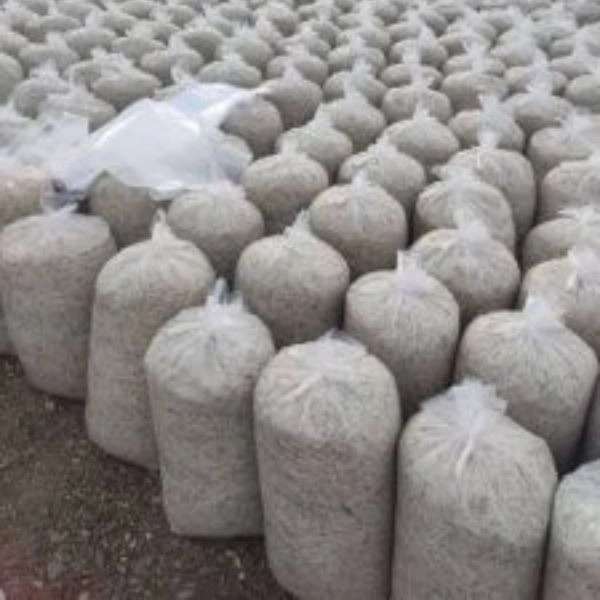 خوراک دام و طیور فرجی