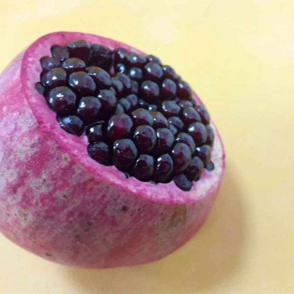 بهین پلاست محمدی