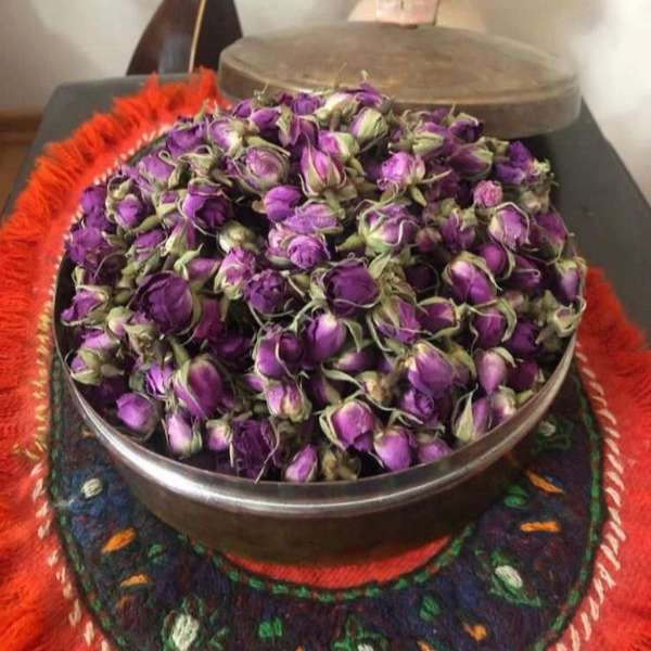 راشا رز