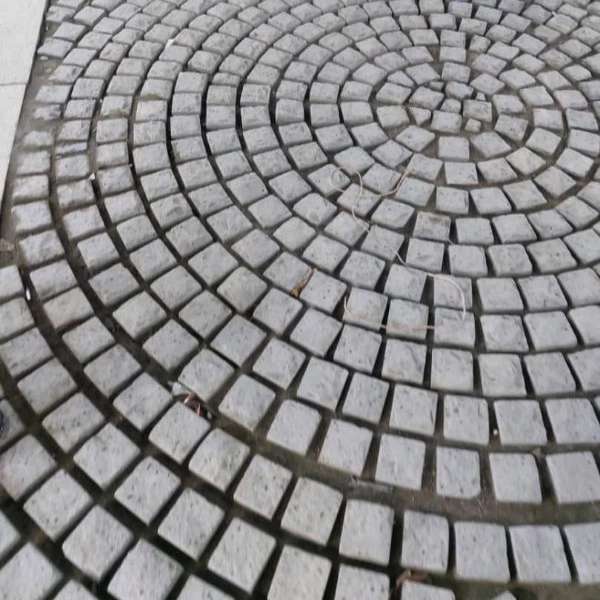 محوطه سازی محمدی
