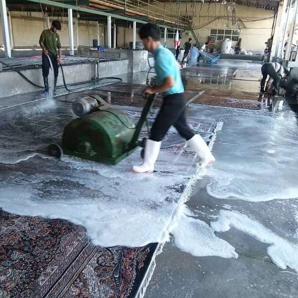 قالیشویی نعمت