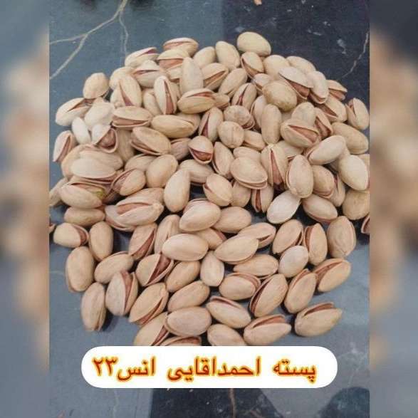 فروشگاه جیلاریا