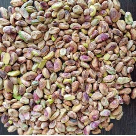 فروشگاه جیلاریا