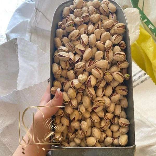 فروشگاه جیلاریا