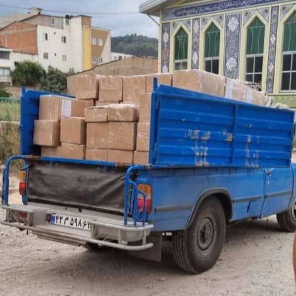 میوه خشک مشگینی