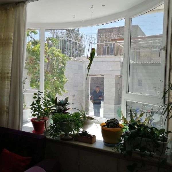آداک پنجره