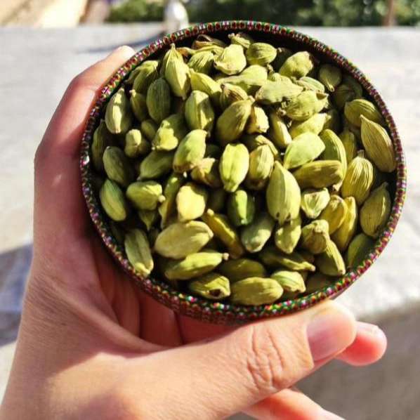 فروشگاه بانو