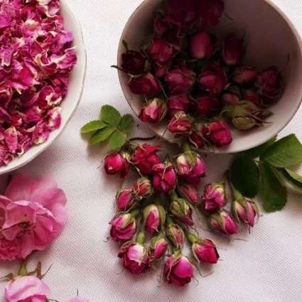 راشا رز