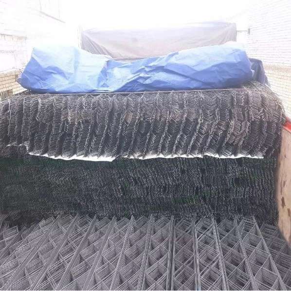 اشراق شمس فاتح