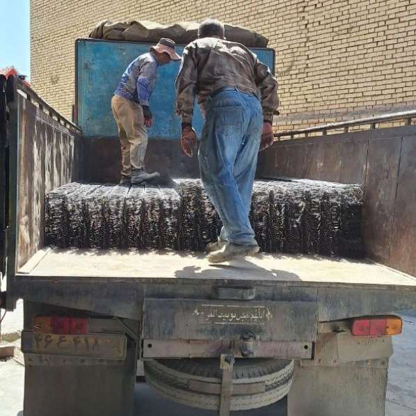 اشراق شمس فاتح