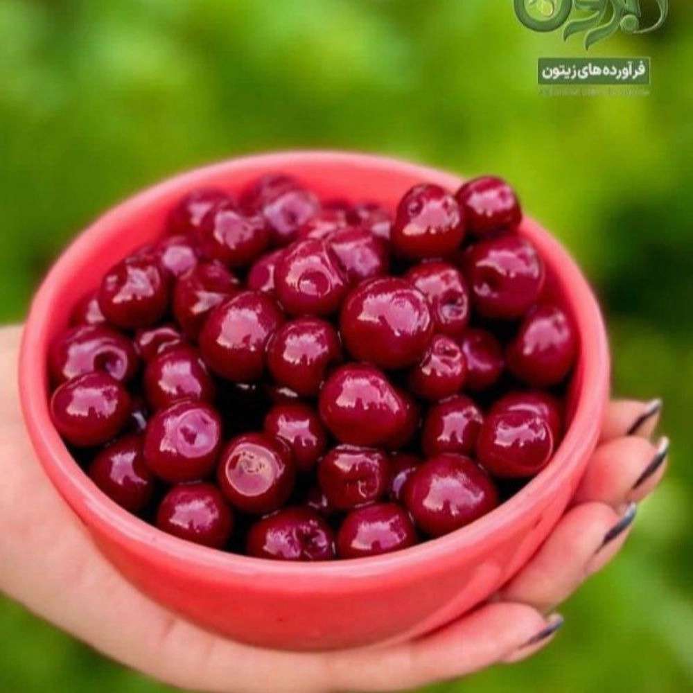 ترشیجات آبرون در رشت