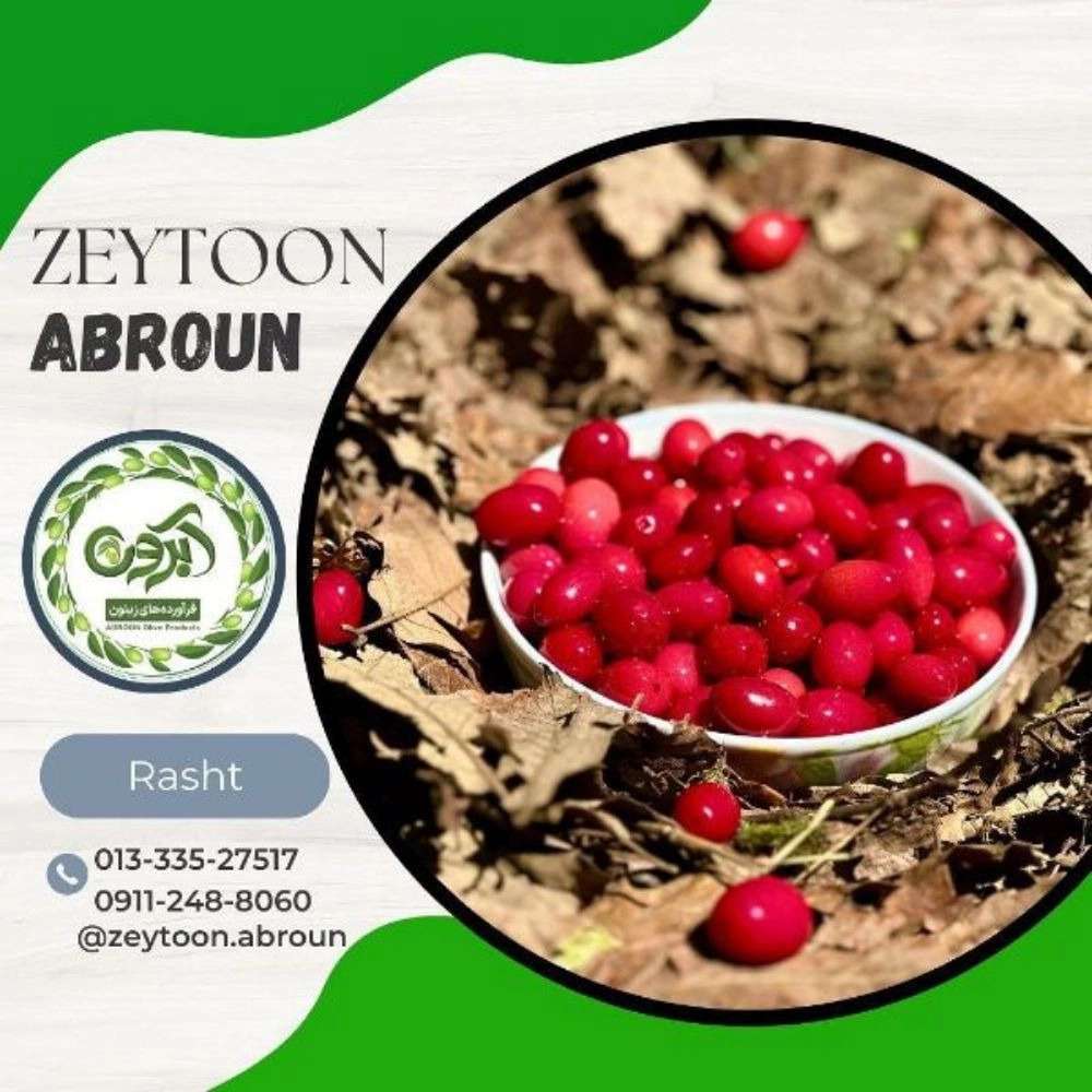 ترشیجات آبرون در رشت