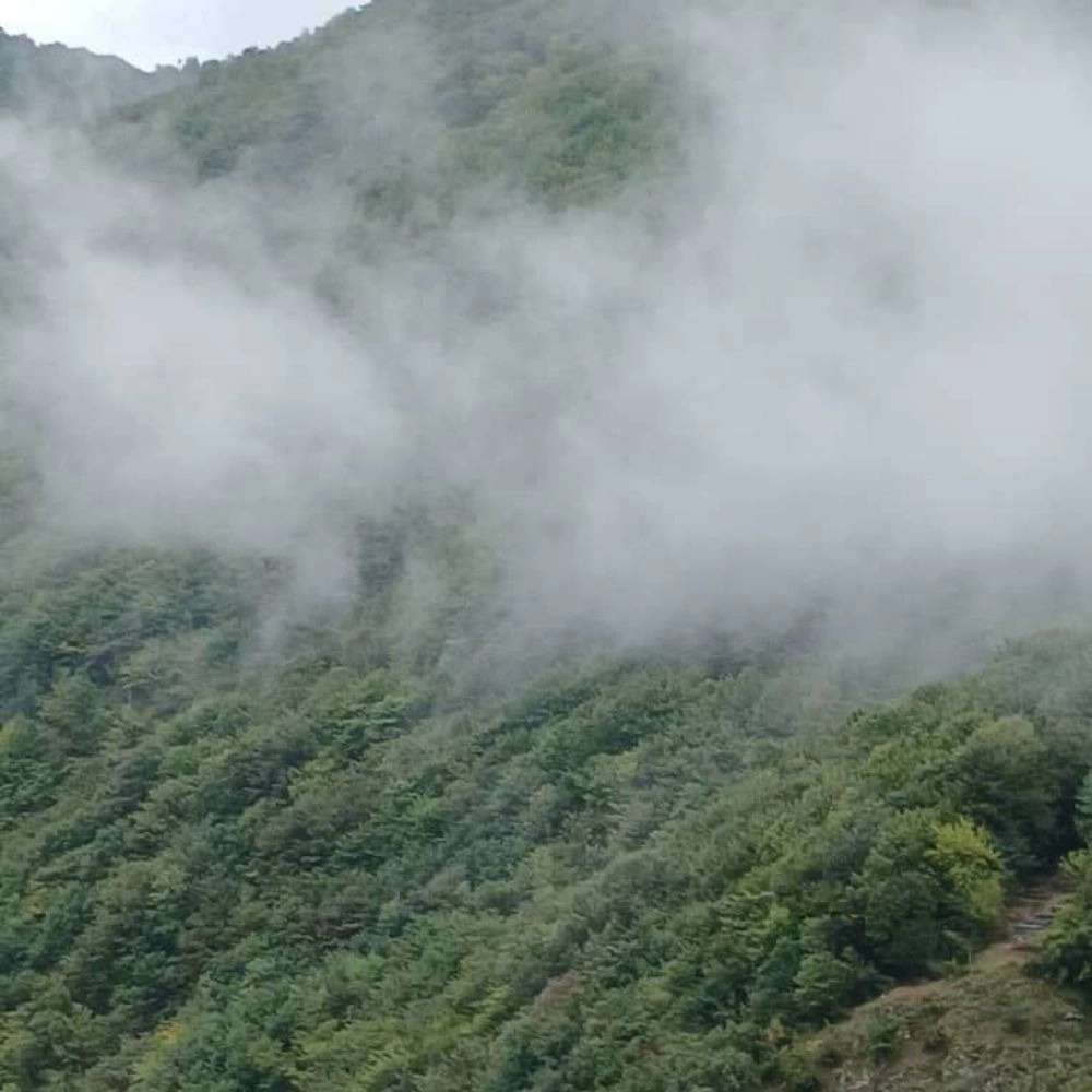 اقامتگاه یاسر