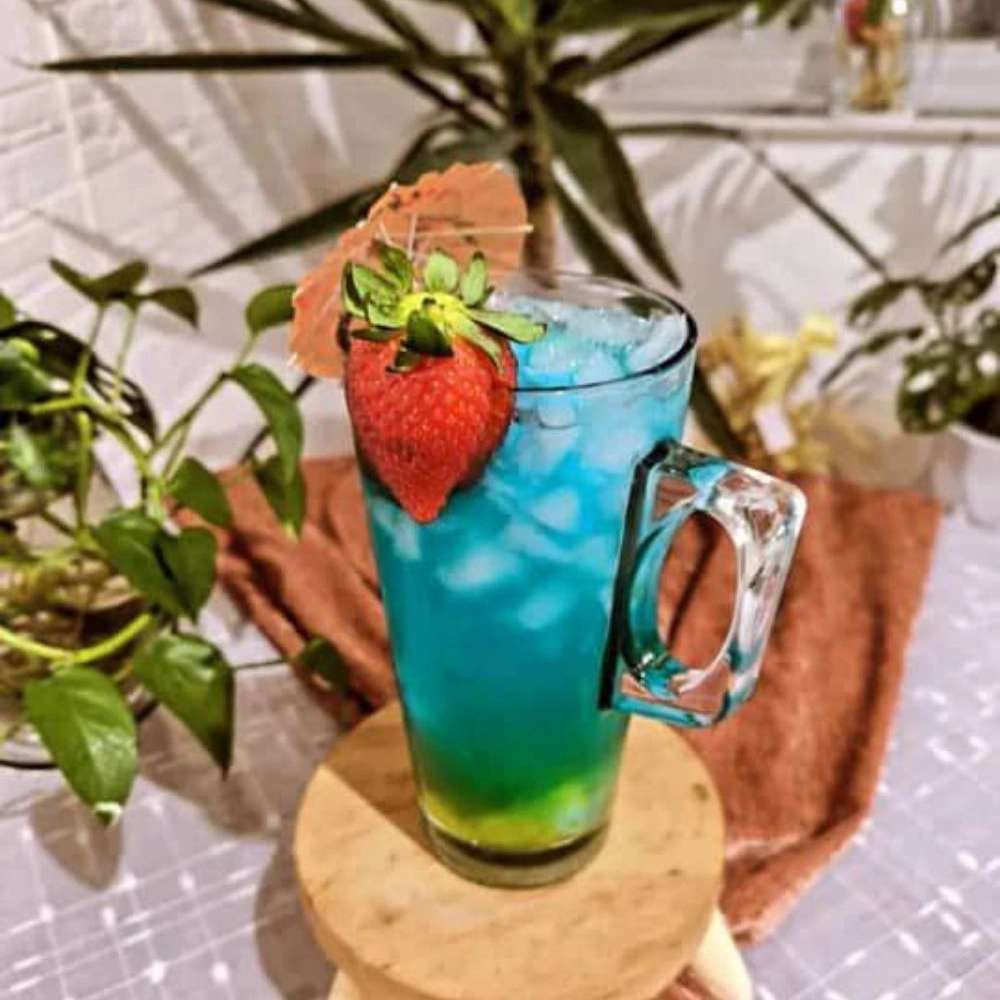 آموزشگاه آشپزی نیلوفر