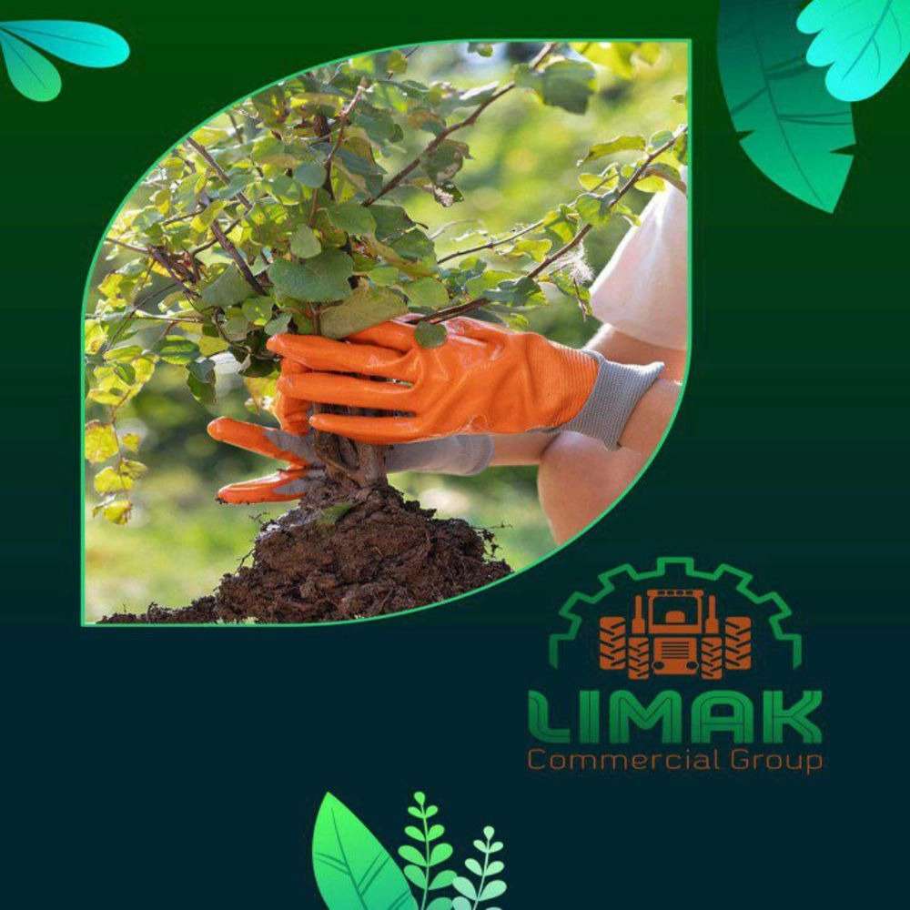 ادوات کشاورزی روگن