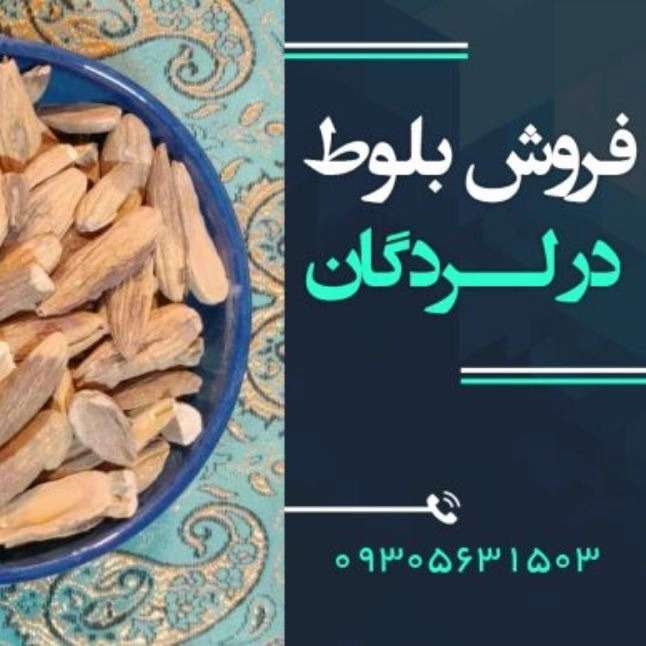 مجموعه آزاد اندیشان