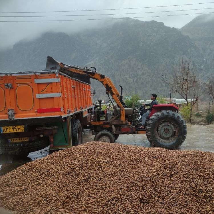 مجموعه آزاد اندیشان