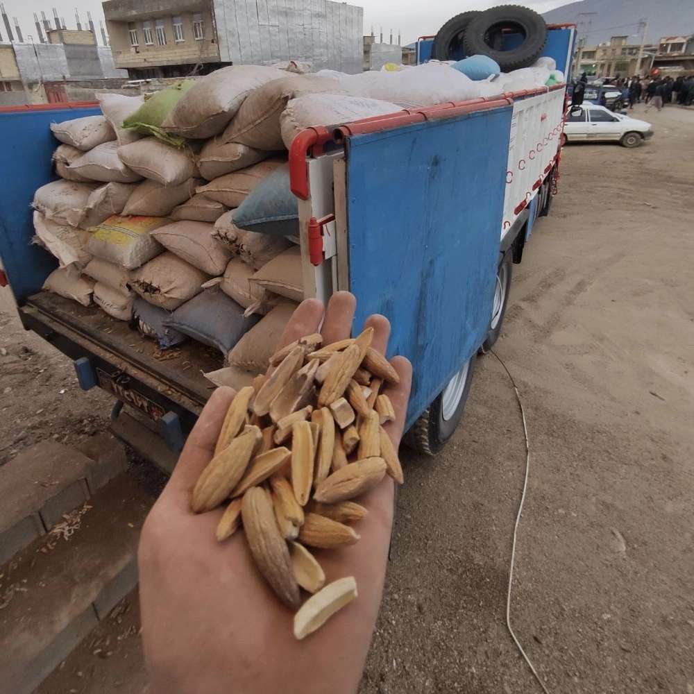 مجموعه آزاد اندیشان