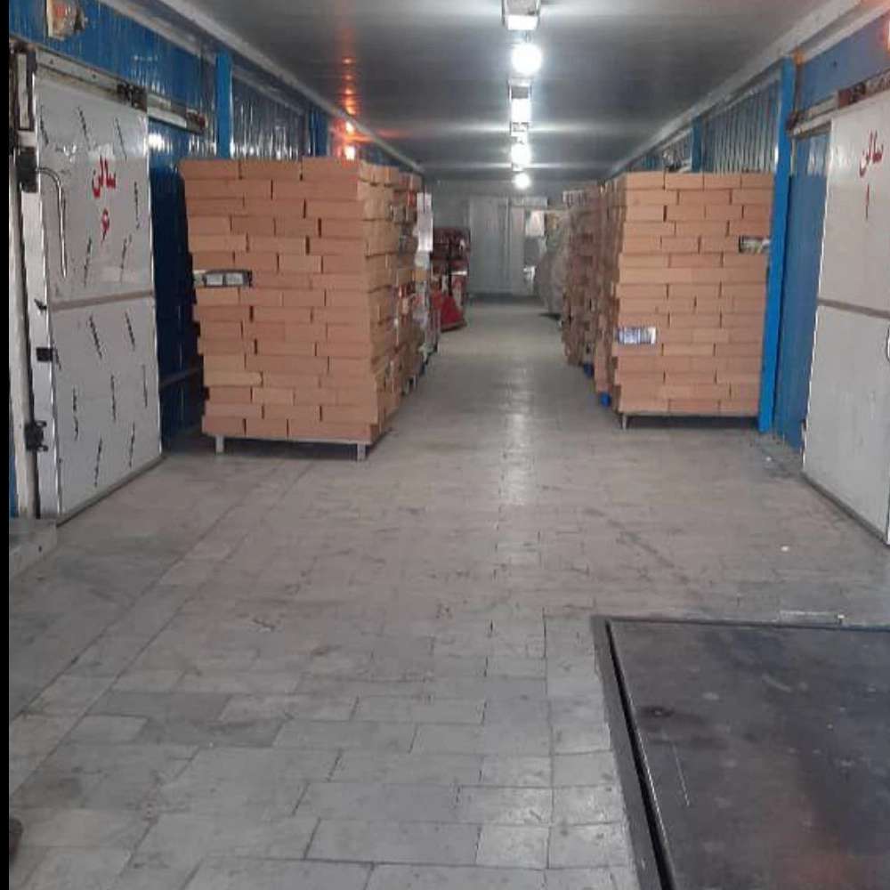 شرکت سردین