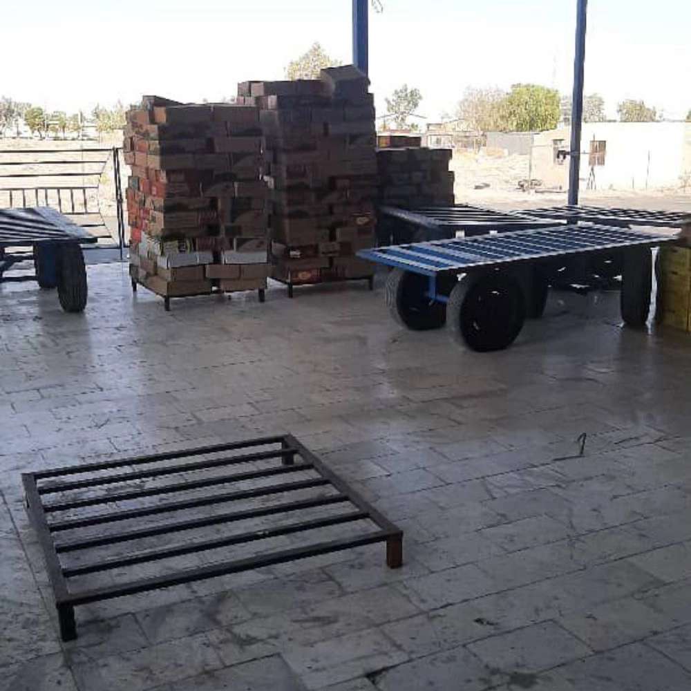 شرکت سردین