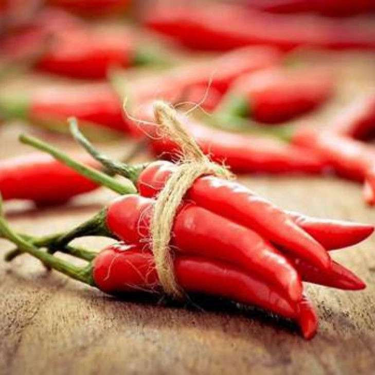 صادرات فلفل دلمه ای