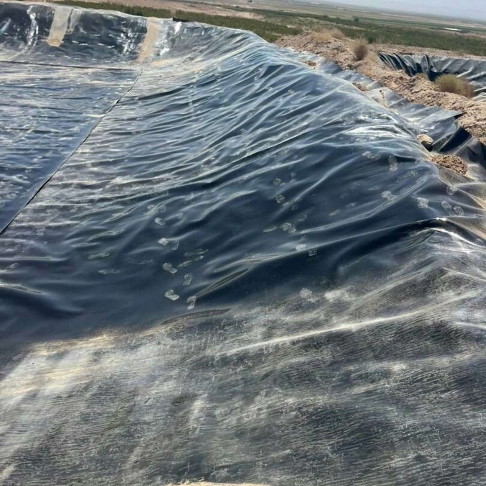 مجموعه زیستاب
