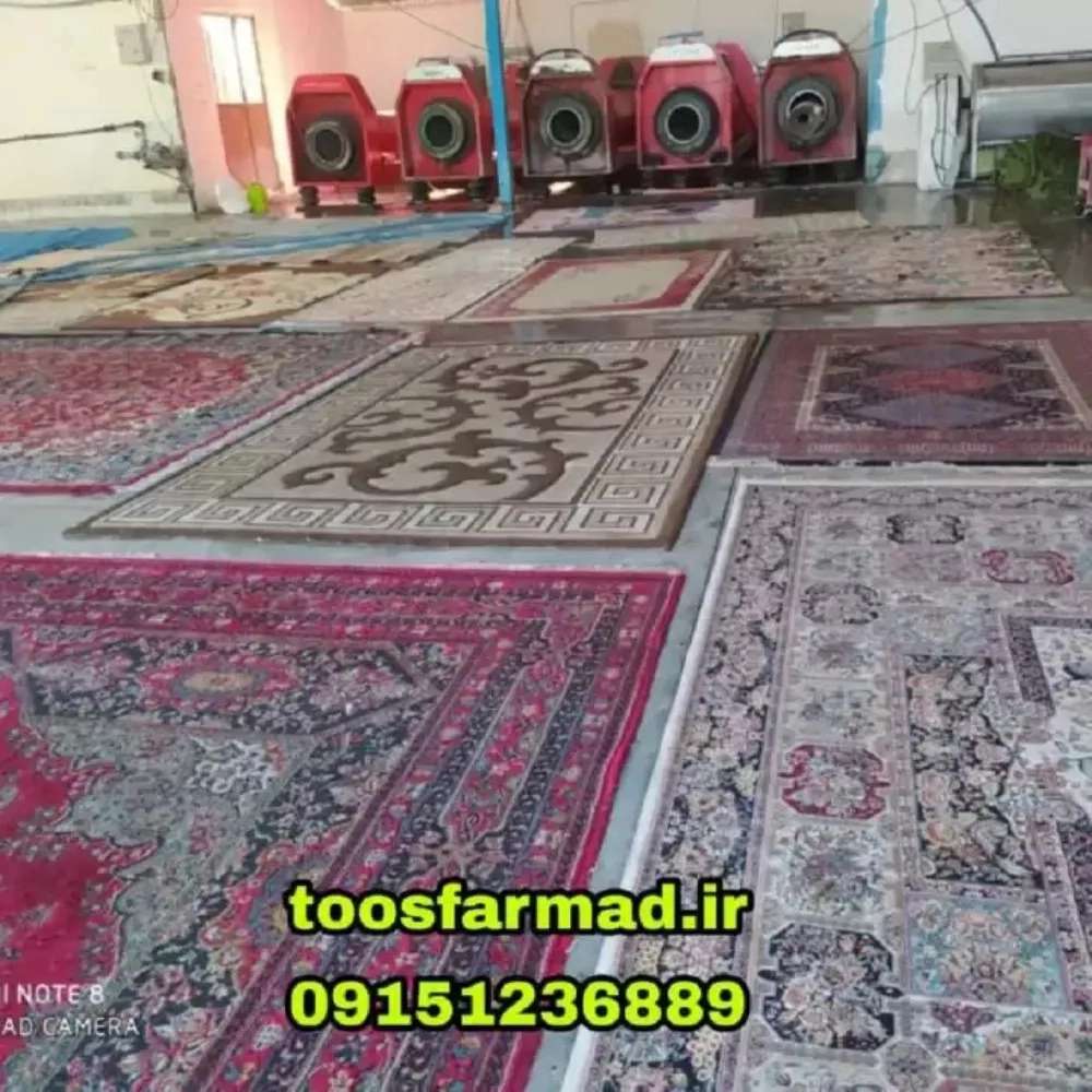 خدمات نظافتی طوس فارمد