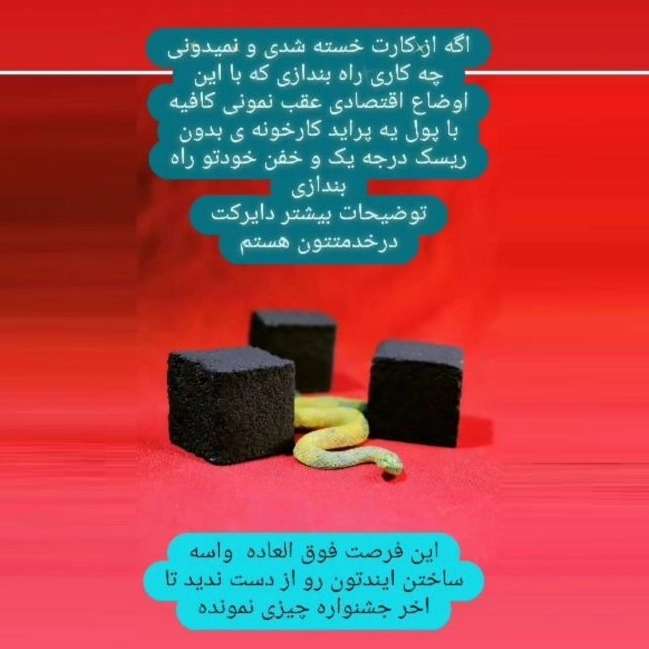 گروه صنعتی سهند آلفا