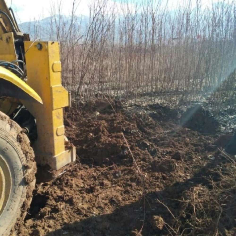 فروش نهال گردو زردآلو هلو سیب در جلفا