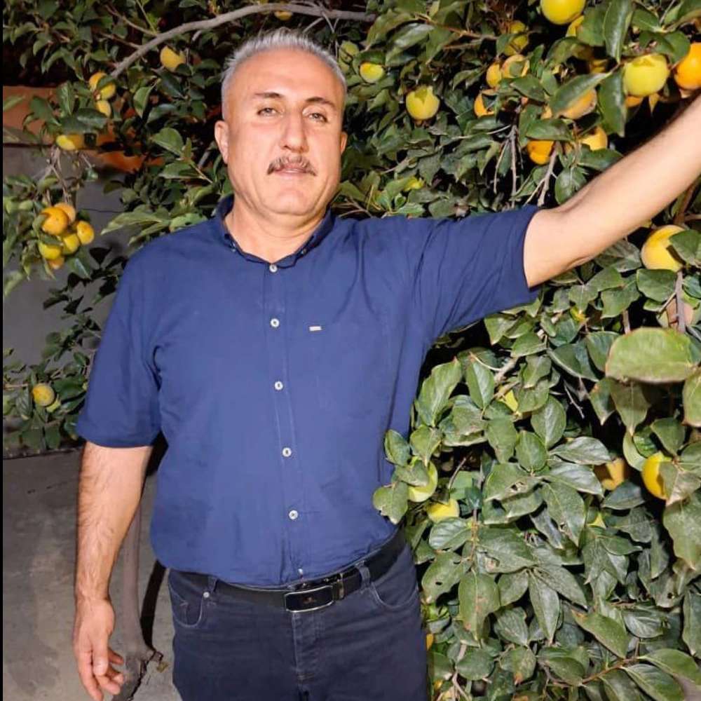 نهالستان ارس زرینه در میاندوآب