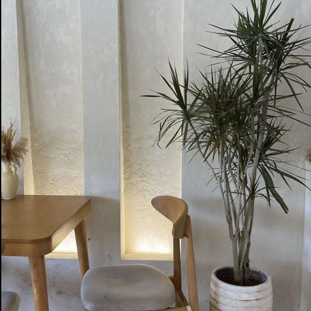 میکروسمنت استوکو طرح سنگ اسدی