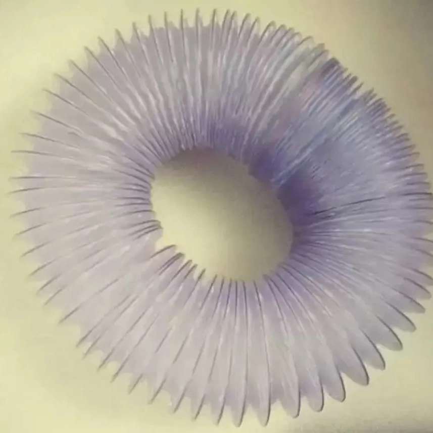پاسارگاد هود