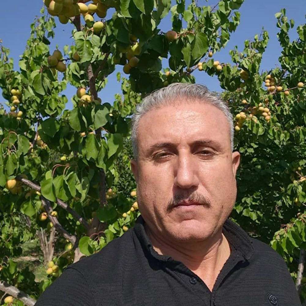 نهالستان ارس زرینه در میاندوآب