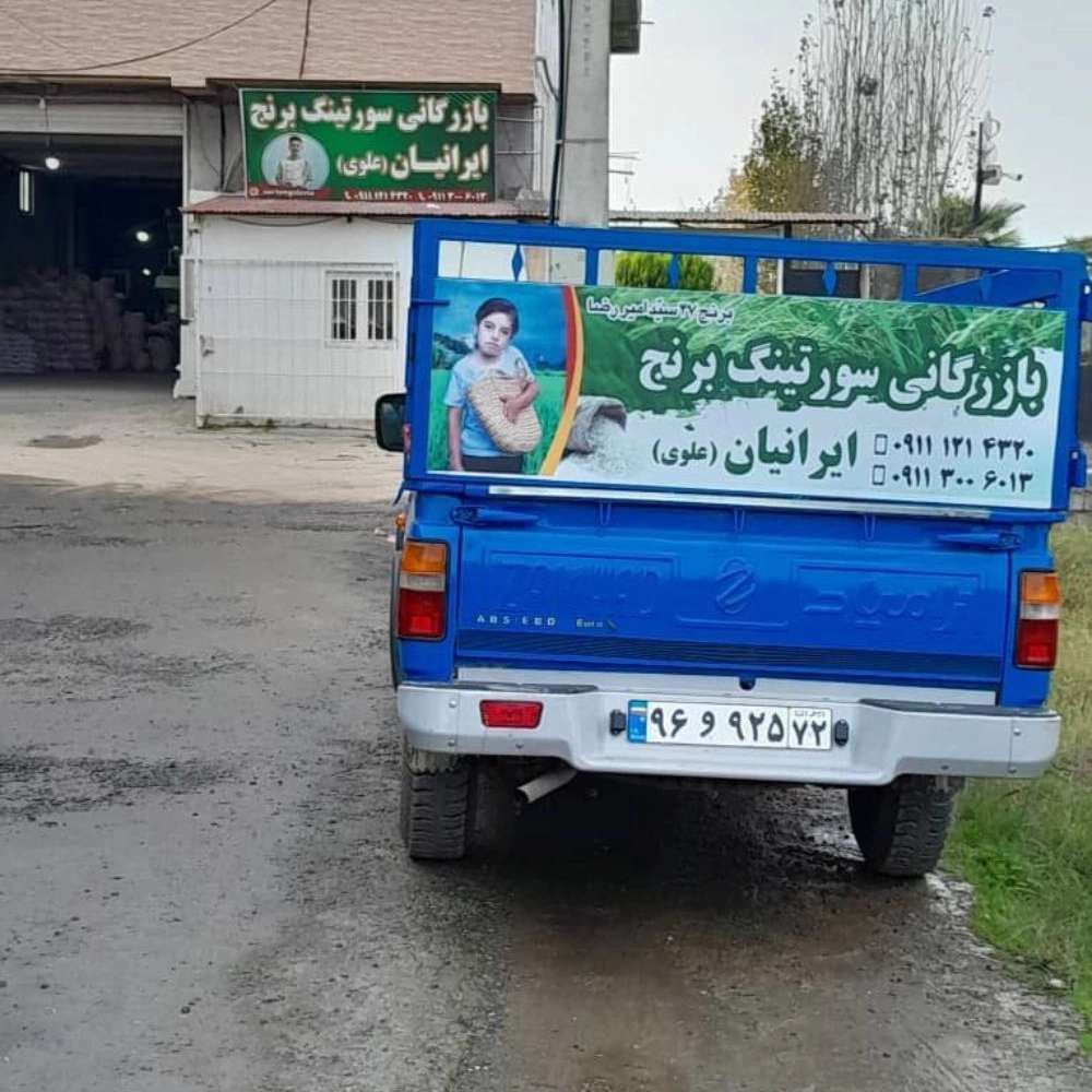 بازرگانی سورتینگ برنج علوی