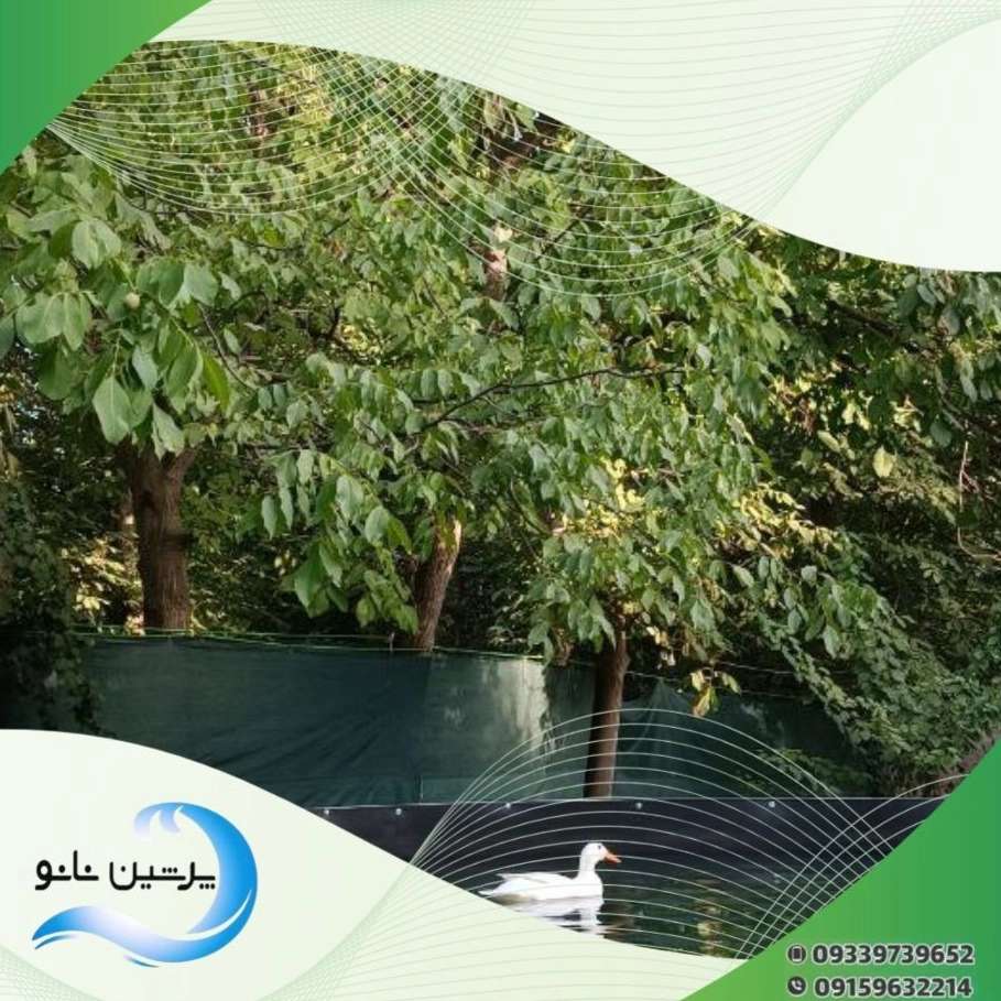 استخر کشاورزی شیلات و صنعتی بهاران کشت و صنعت آبیار در رشت