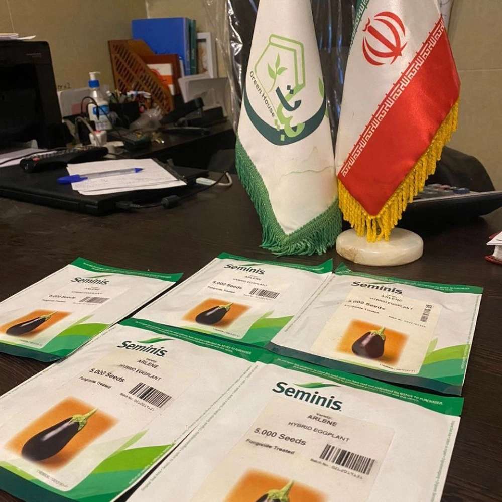 گلخانه بیات در شیراز