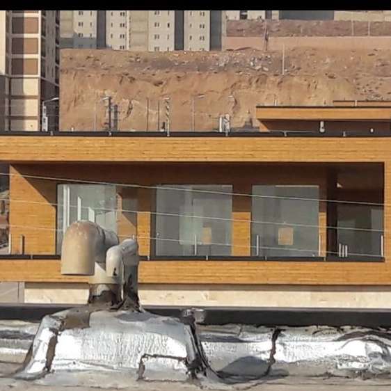 فلاشینگ