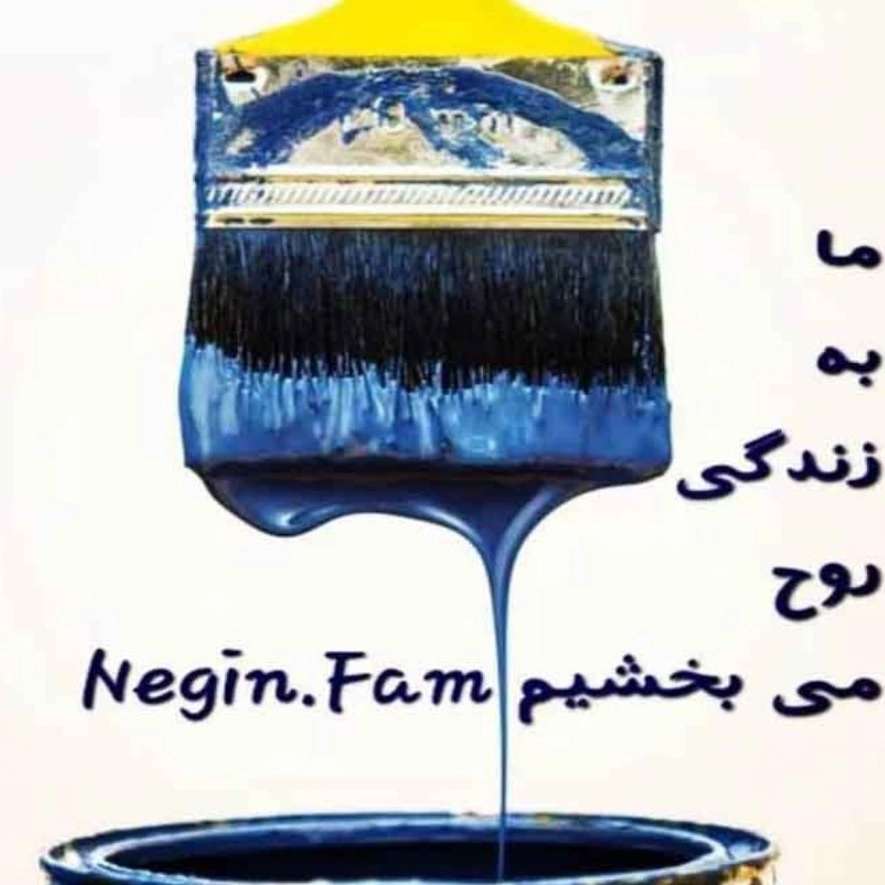 شرکت نگین فام ایرانیان