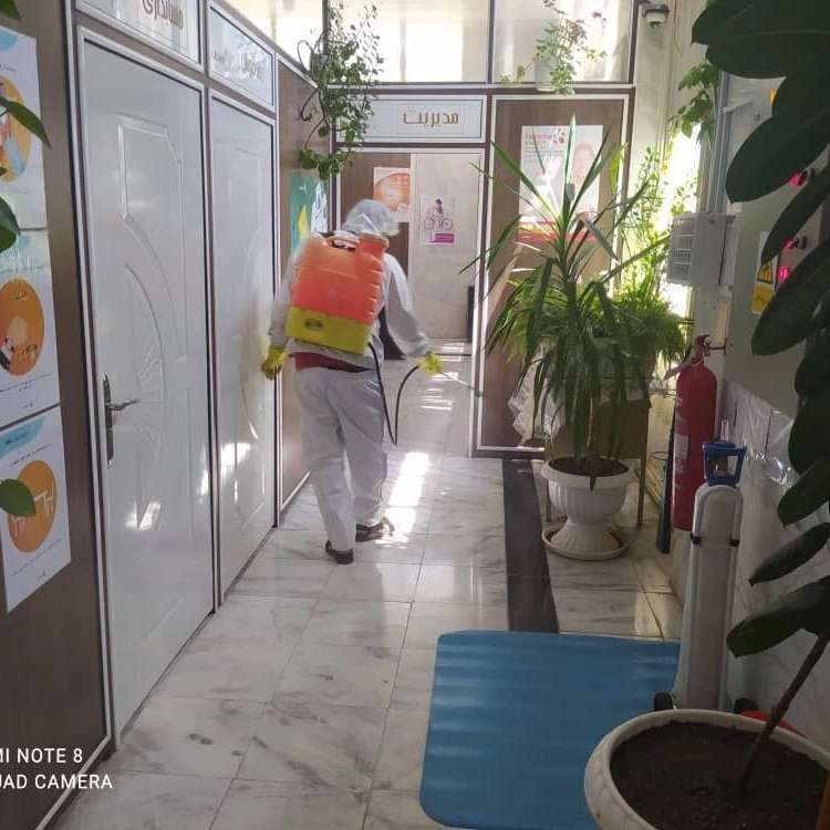 شرکت پیشتاز نابودگر همدان