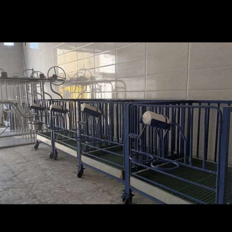 ساخت فری استال و باکس شیردوش و سمچین دامداری طاها صنعت در فارس