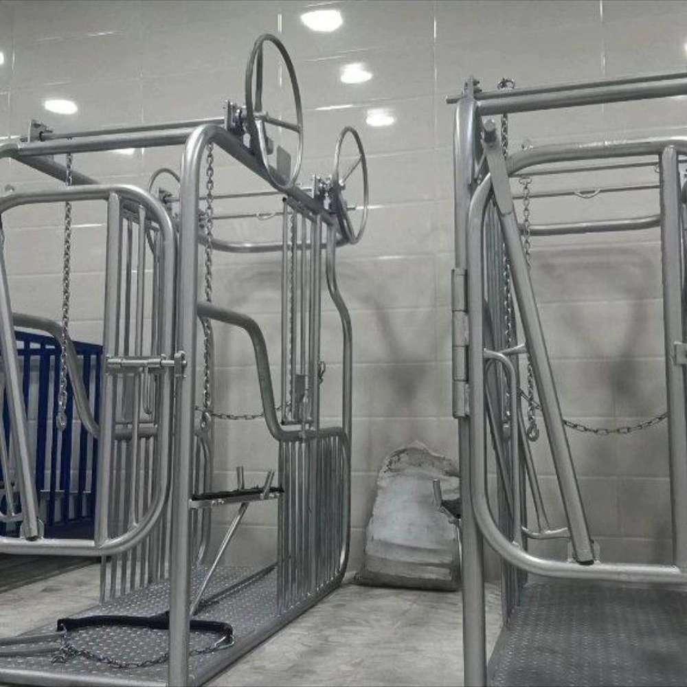 ساخت فری استال و باکس شیردوش و سمچین دامداری طاها صنعت در فارس