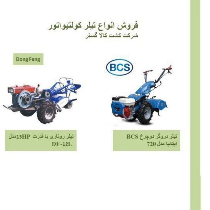 کشت کالا گستر در تهران