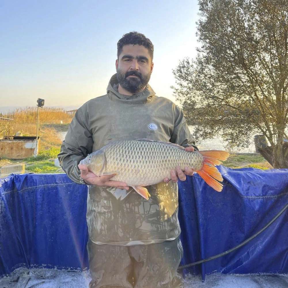 ماهی فروشی بهشهر فرخ زاد