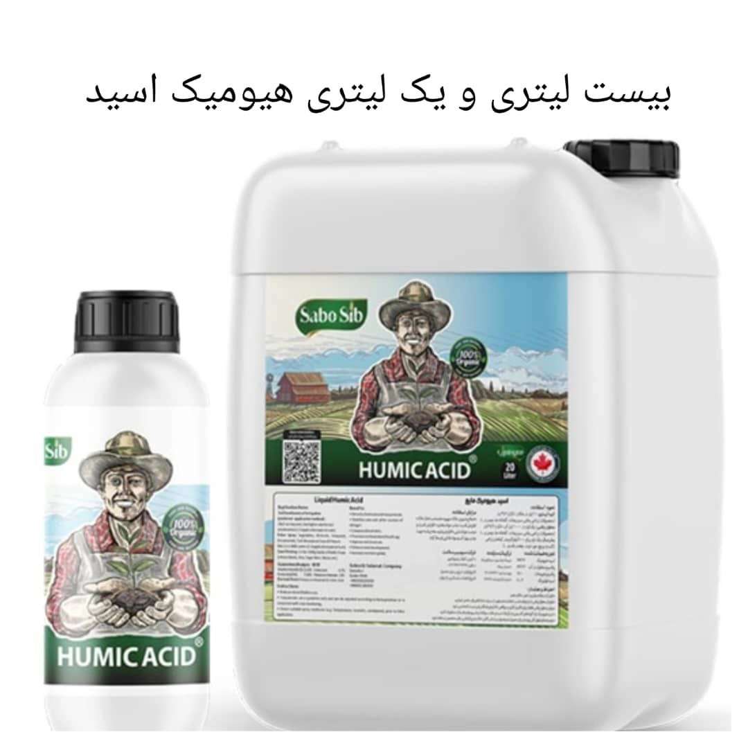 سبوسیب