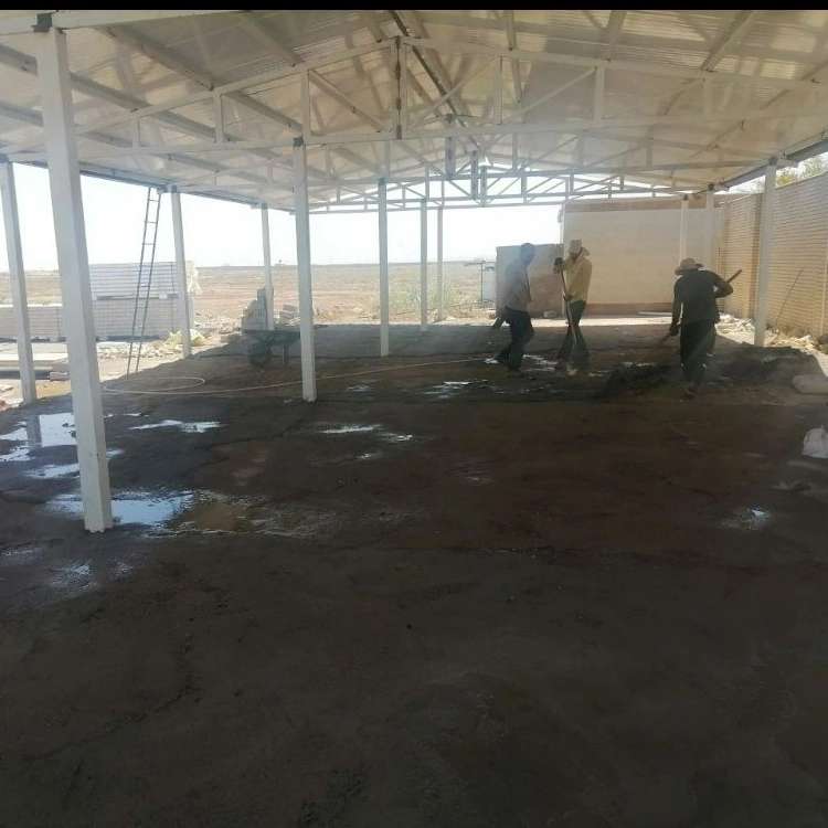 کانکس