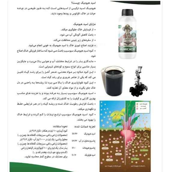 سبوسیب