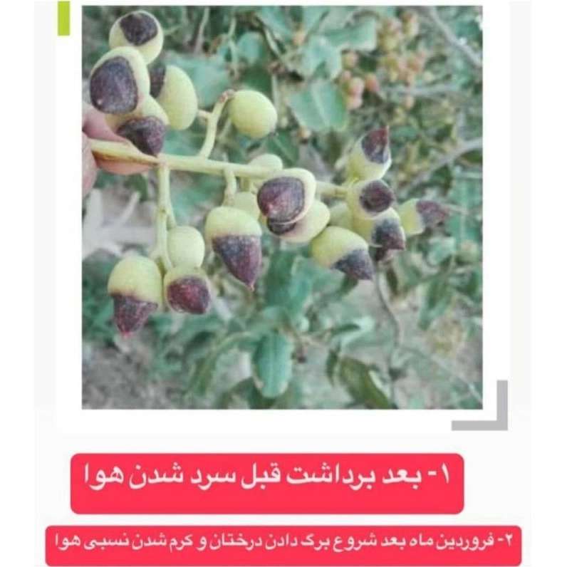 نمایندگی فروش کودهای ارگانیک در کرمان